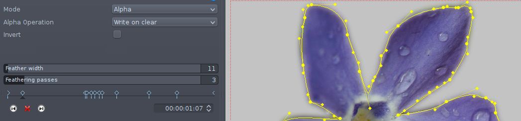 Parameters available for the rotoscoping effect